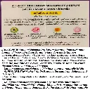 s-l1600 (15).webp